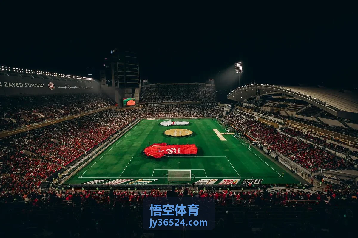 悟空体育数据光轨背景